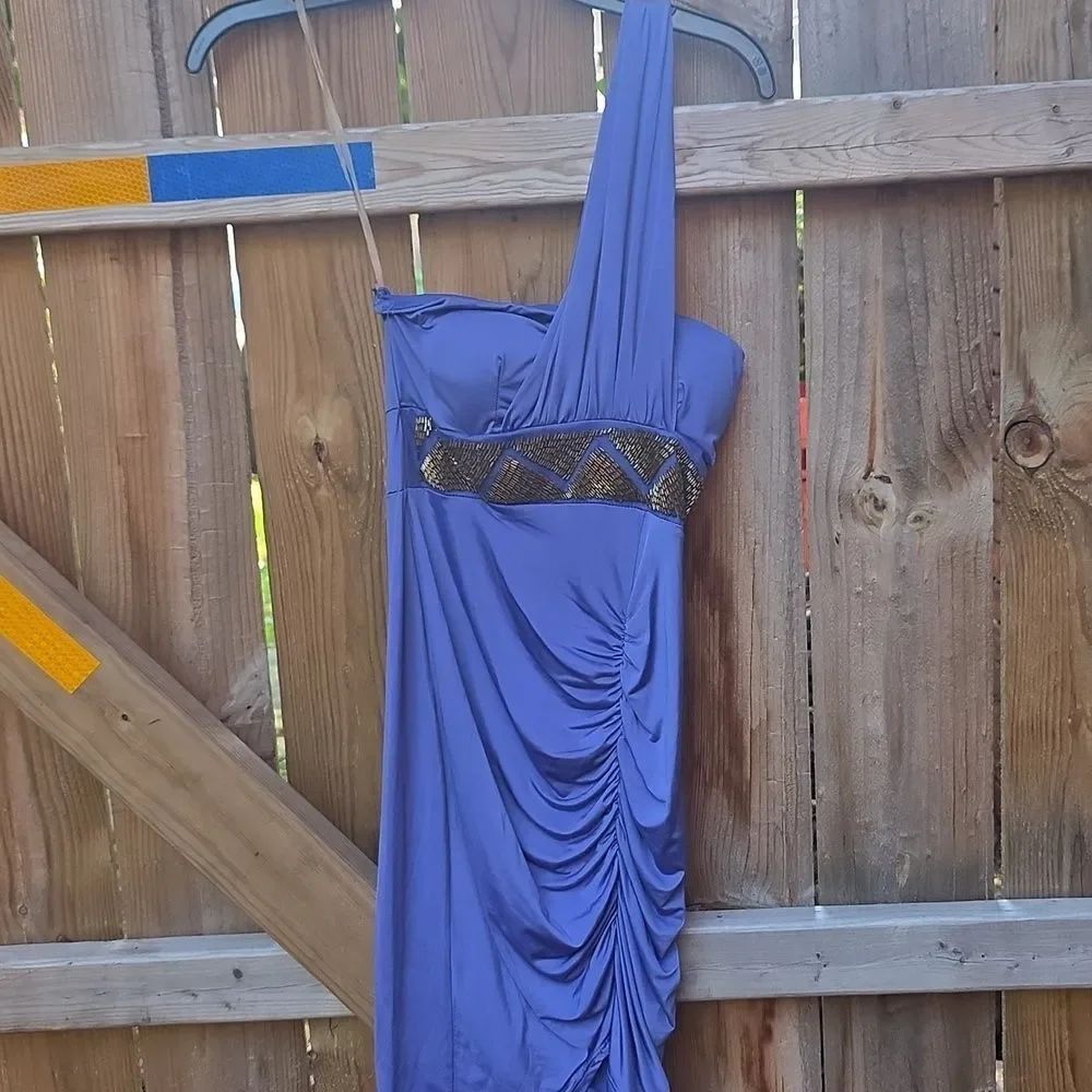 One-Shoulder Purple Dress with Gold Accents